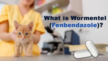 What is Wormentel (Fenbendazole)?